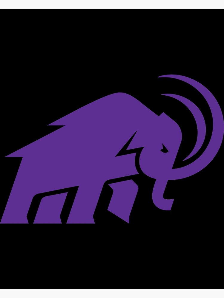 All Star Dogs: Amherst College Mammoths Pet apparel and accessories