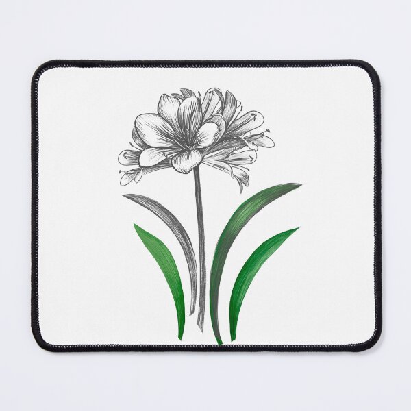 Item preview, Flowers, flower, spring, summer. Blooming clivia. designed and sold by AnaGuziiArt.