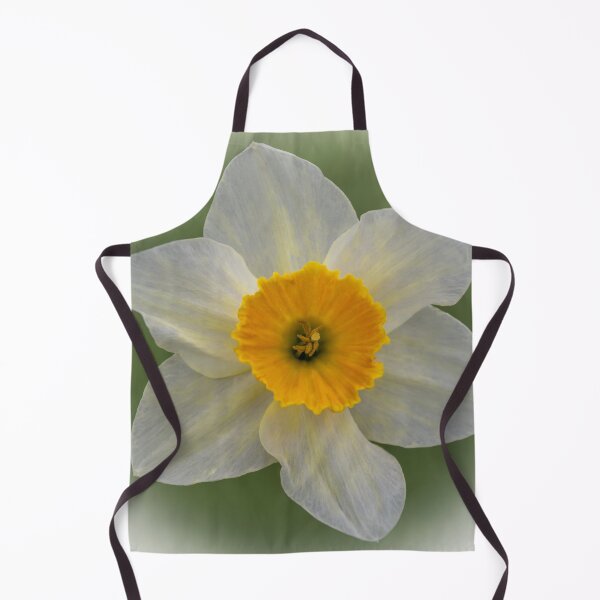 Item preview, Daffodil designed and sold by JEZ22.