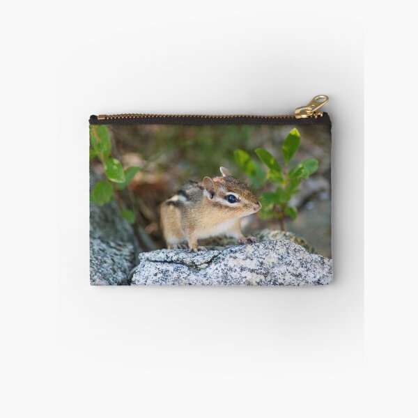 Item preview, Chipmunk designed and sold by Roger Porter Photography.