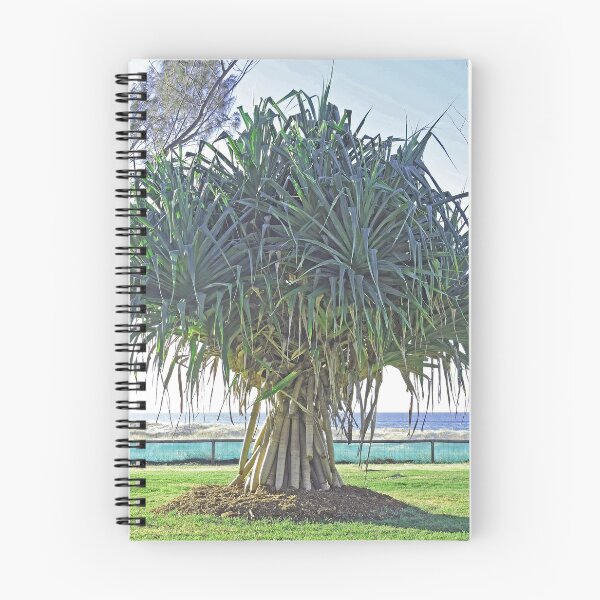 Item preview, Pandanus tectorius designed and sold by Graeme  Hyde.