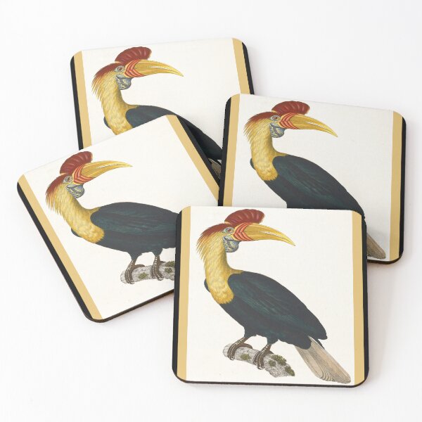 Item preview, Knobbed Hornbill by Nicolas Huet the Younger designed and sold by Amanda1775.