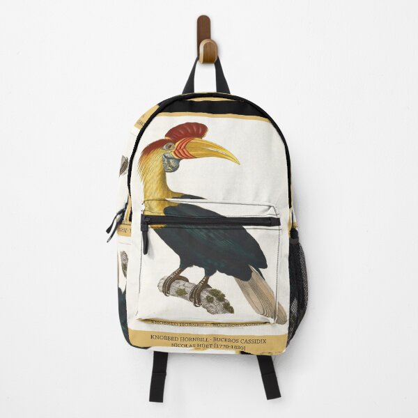 Item preview, Knobbed Hornbill by Nicolas Huet the Younger designed and sold by Amanda1775.