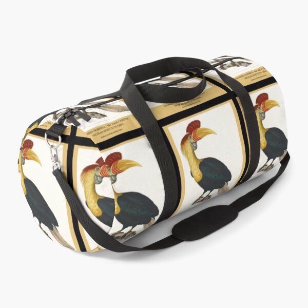 Item preview, Knobbed Hornbill by Nicolas Huet the Younger designed and sold by Amanda1775.