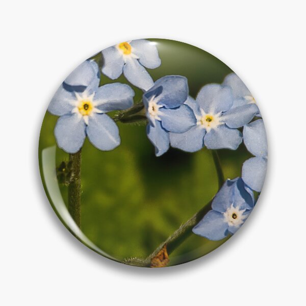 Item preview, Forget-me-not Panorama designed and sold by Violaman.