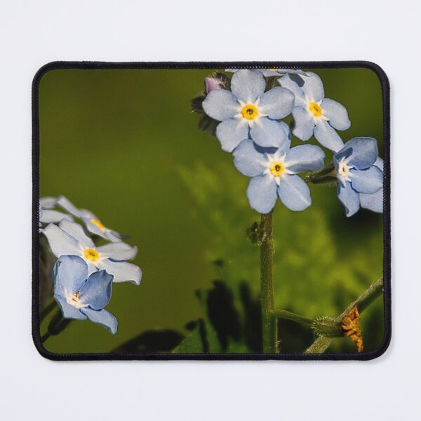Item preview, Forget-me-not Panorama designed and sold by Violaman.