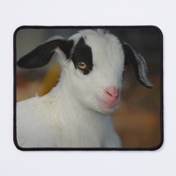 Item preview, Baby Goat designed and sold by Savannah Gibbs.