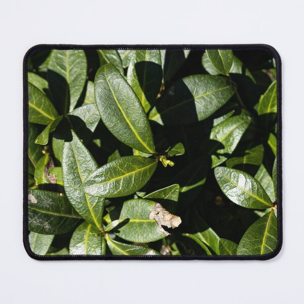 Item preview, Green leaves designed and sold by viknitov.