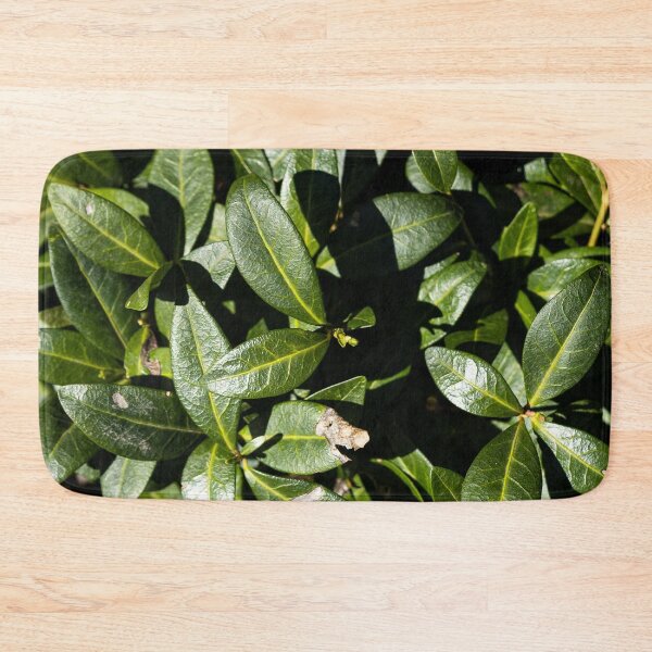 Item preview, Green leaves designed and sold by viknitov.