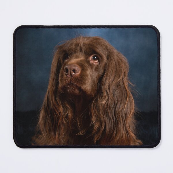Item preview, Laying Sussex Spaniel Portrait designed and sold by SMiddlebrook.
