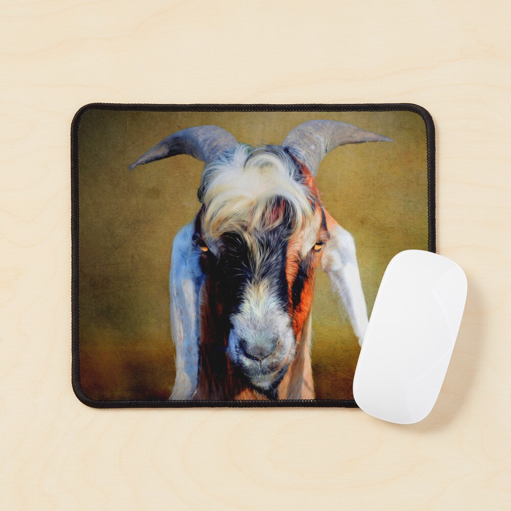 Billy Goat