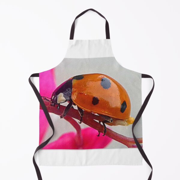 Item preview, Coccinelle designed and sold by angel1.