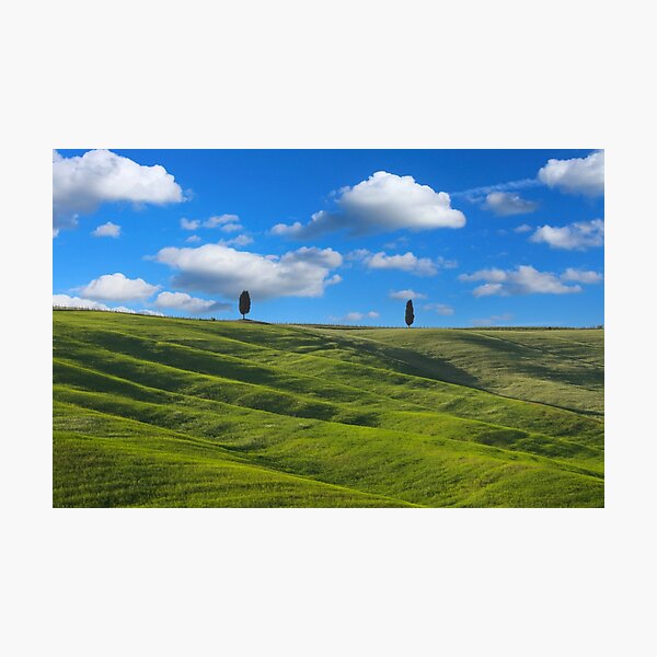 Two trees in Val D Orcia Photographic Print