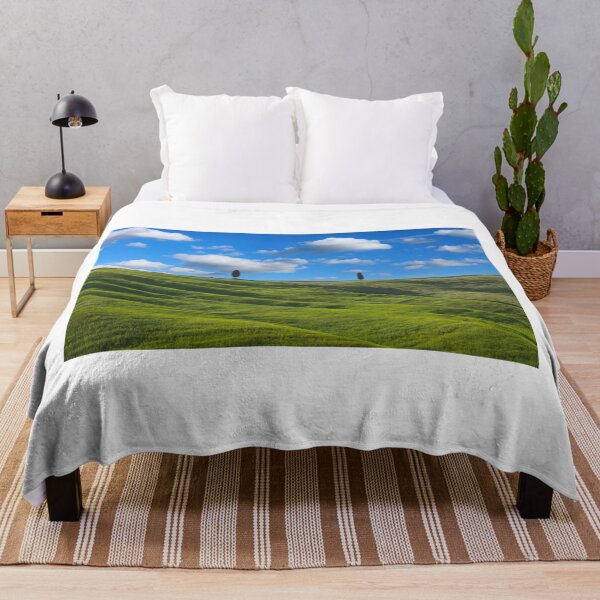 Item preview, Two trees in Val D Orcia designed and sold by pietrofoto.