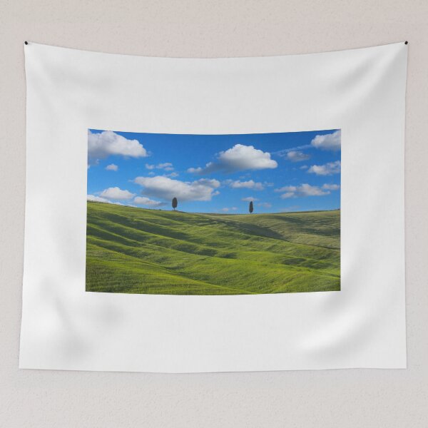 Item preview, Two trees in Val D Orcia designed and sold by pietrofoto.