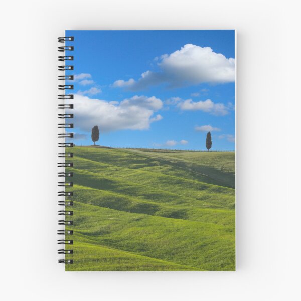 Item preview, Two trees in Val D Orcia designed and sold by pietrofoto.