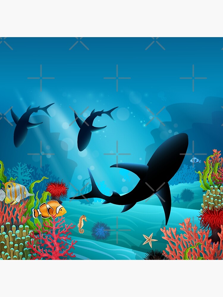 Under water Life, Sharks, Fishes under Ocean, Ocean Life