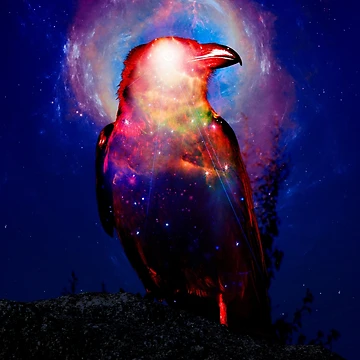 Artwork thumbnail, Transient by Space Traveller