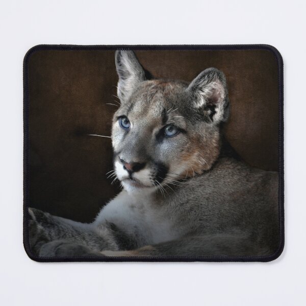 Item preview, The Mountain Lion designed and sold by Savannah Gibbs.