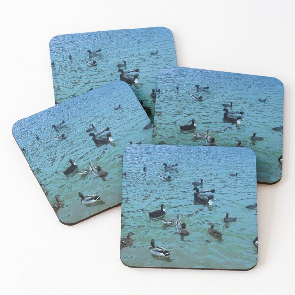 Item preview, TMP Photography • Digital Ducks designed and sold by TMPSG.