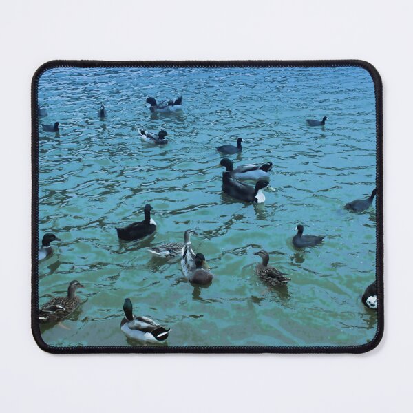 Item preview, TMP Photography • Digital Ducks designed and sold by TMPSG.