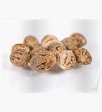 Cannabis Seeds in a Group - Locktite F1 Poster