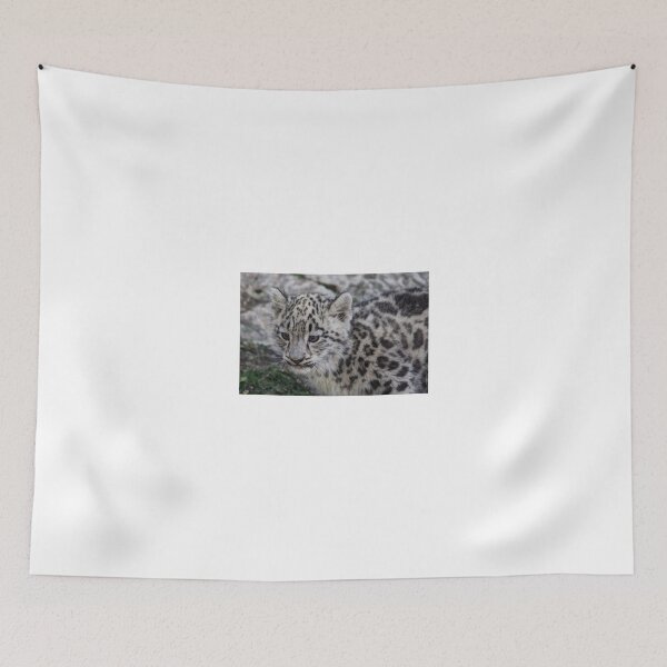 Item preview, Baby Snow Leopard designed and sold by Larry Trupp.