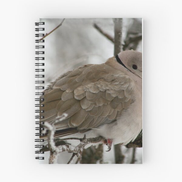 Item preview, Eurasian Collared Dove designed and sold by Larry Trupp.