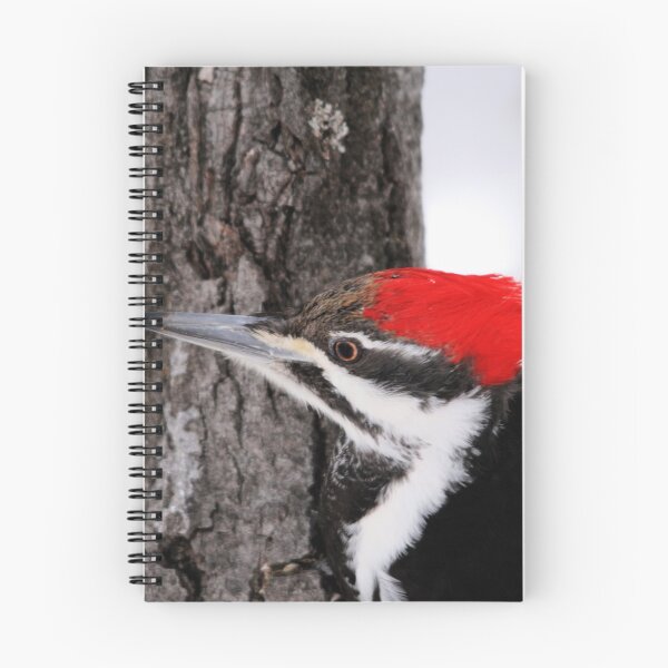 Item preview, Pileated Woodpecker designed and sold by Larry Trupp.