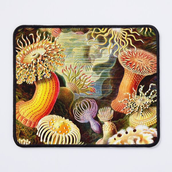 Item preview, SEA ANEMONES ,OCEAN SEA LIFE SCENE ACTINIAE designed and sold by BulganLumini.