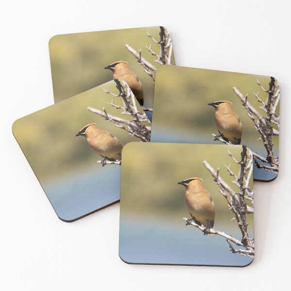 Item preview, Cedar Waxwing designed and sold by Alyce Taylor.
