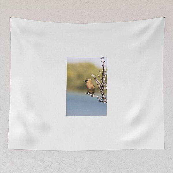 Item preview, Cedar Waxwing designed and sold by Alyce Taylor.