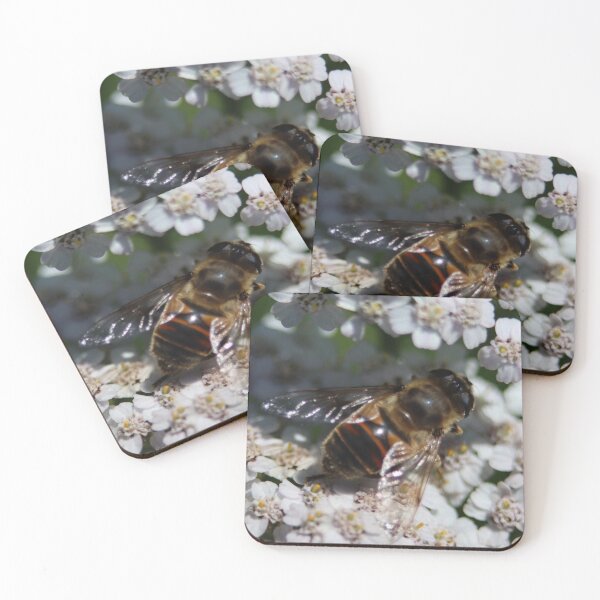 Item preview, Cute bee on pretty flower designed and sold by -Lily-Anne-.