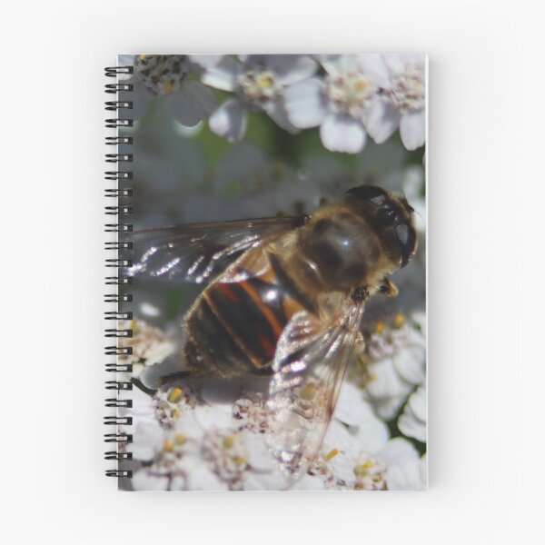 Item preview, Cute bee on pretty flower designed and sold by -Lily-Anne-.