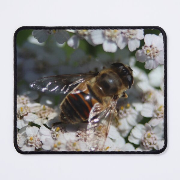 Item preview, Cute bee on pretty flower designed and sold by -Lily-Anne-.