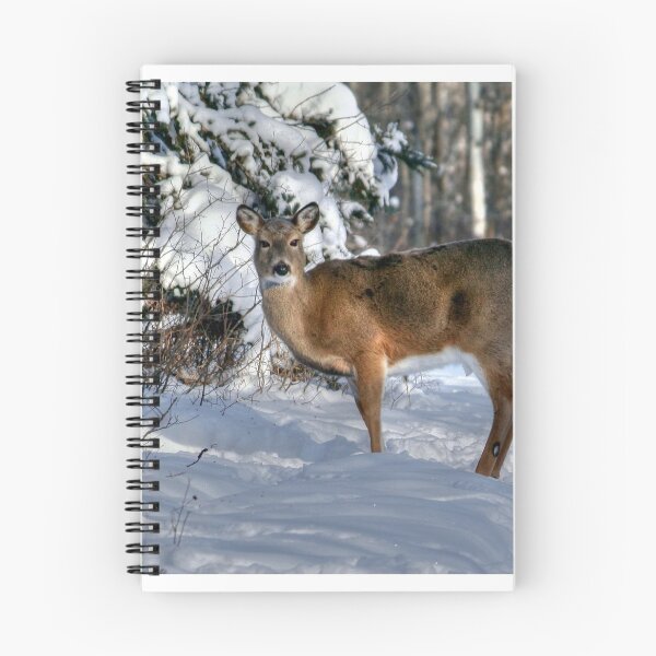 Item preview, Deep in the Woods designed and sold by Larry Trupp.