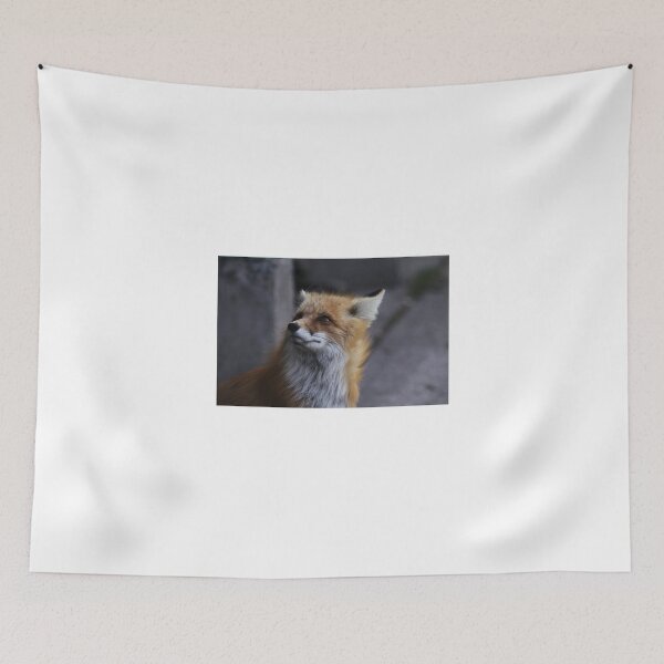 Item preview, Looking Innocent designed and sold by Alyce Taylor.