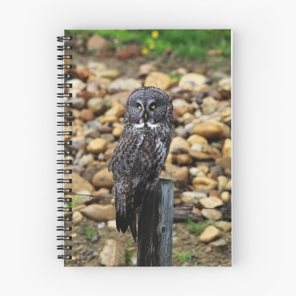 Item preview, Great Grey Owl designed and sold by Alyce Taylor.