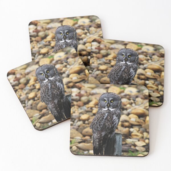 Item preview, Great Grey Owl designed and sold by Alyce Taylor.