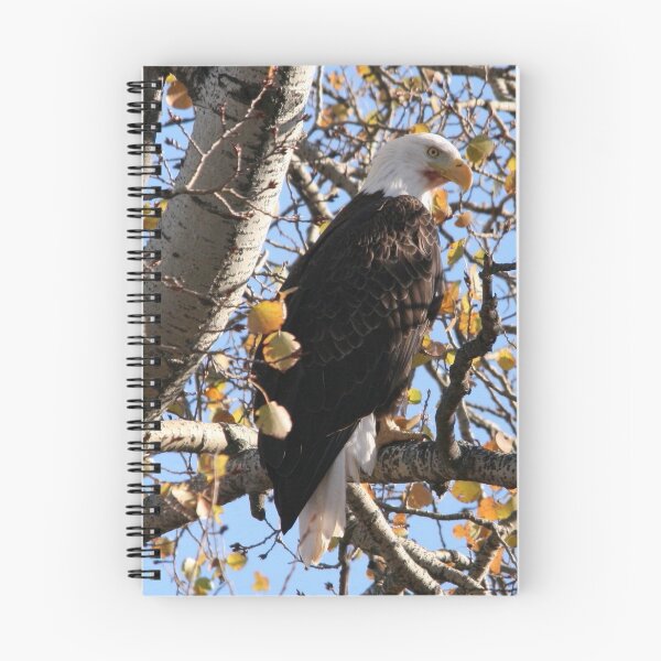 Item preview, Bald Eagle designed and sold by Larry Trupp.
