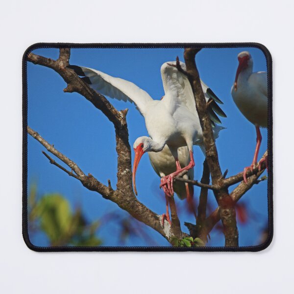 Item preview, Acts of Desperation  designed and sold by Michiale.