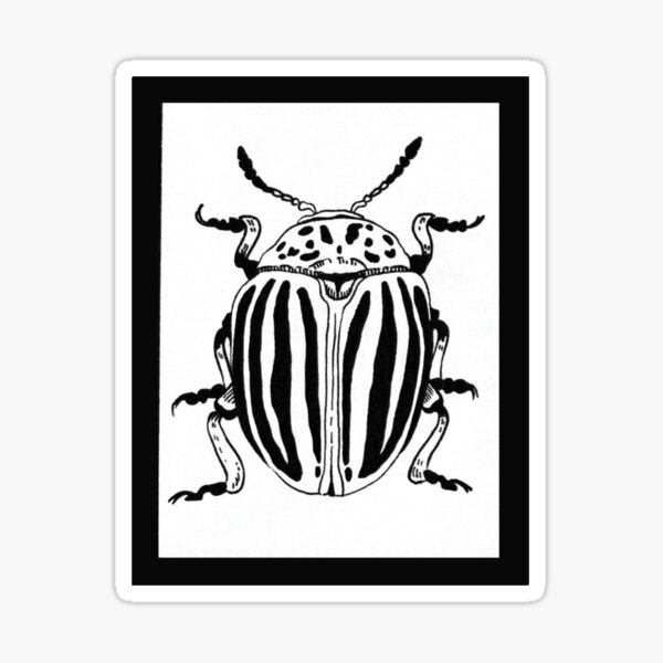 Item preview, Colorado Potato Beetle  designed and sold by permabunnyink.