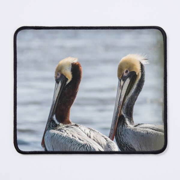 Item preview, Brown Pelican 3 designed and sold by KensLensDesigns.