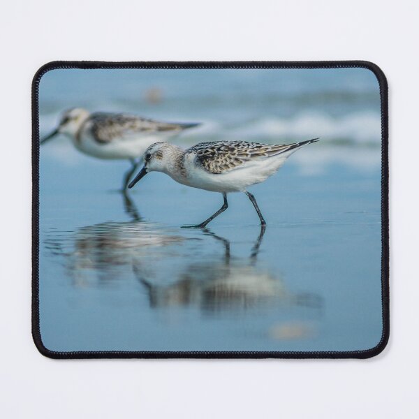 Item preview, Sandpiper 2 designed and sold by KensLensDesigns.