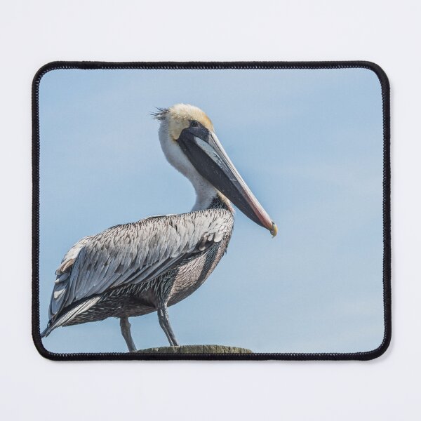 Item preview, Brown Pelican designed and sold by KensLensDesigns.