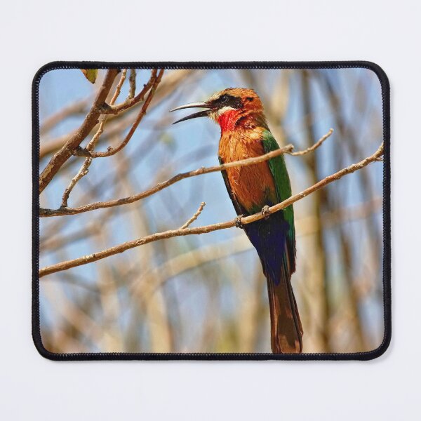 Item preview, White Fronted Bee Eater designed and sold by Kay Brewer.