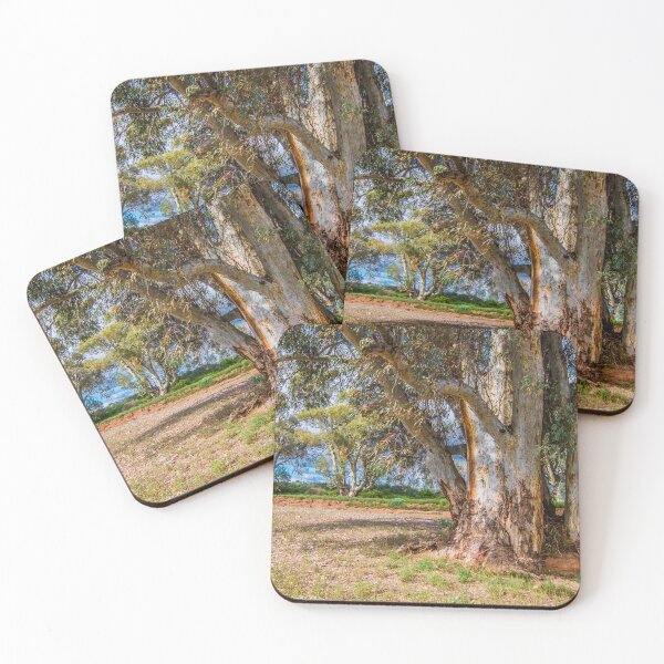 Item preview, Nature's Relics designed and sold by DVJPhotography.
