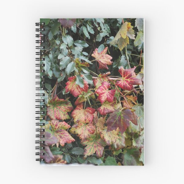 Aperçu de l'œuvre Feuilles tombées créée et vendue par Natrainbow.