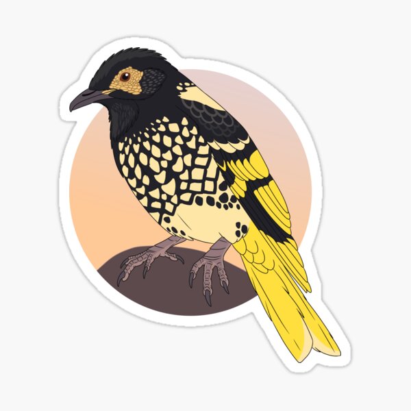 Item preview, Simplistic regent honeyeater designed and sold by DragonArtist15.