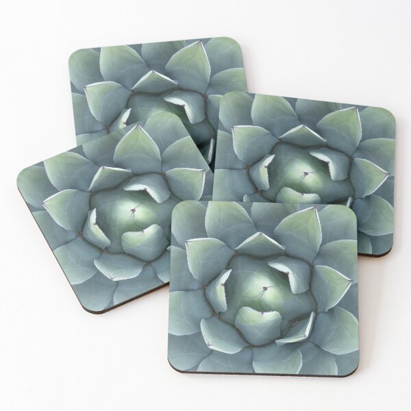 Item preview, Succulent designed and sold by SunnyDesignsCo.